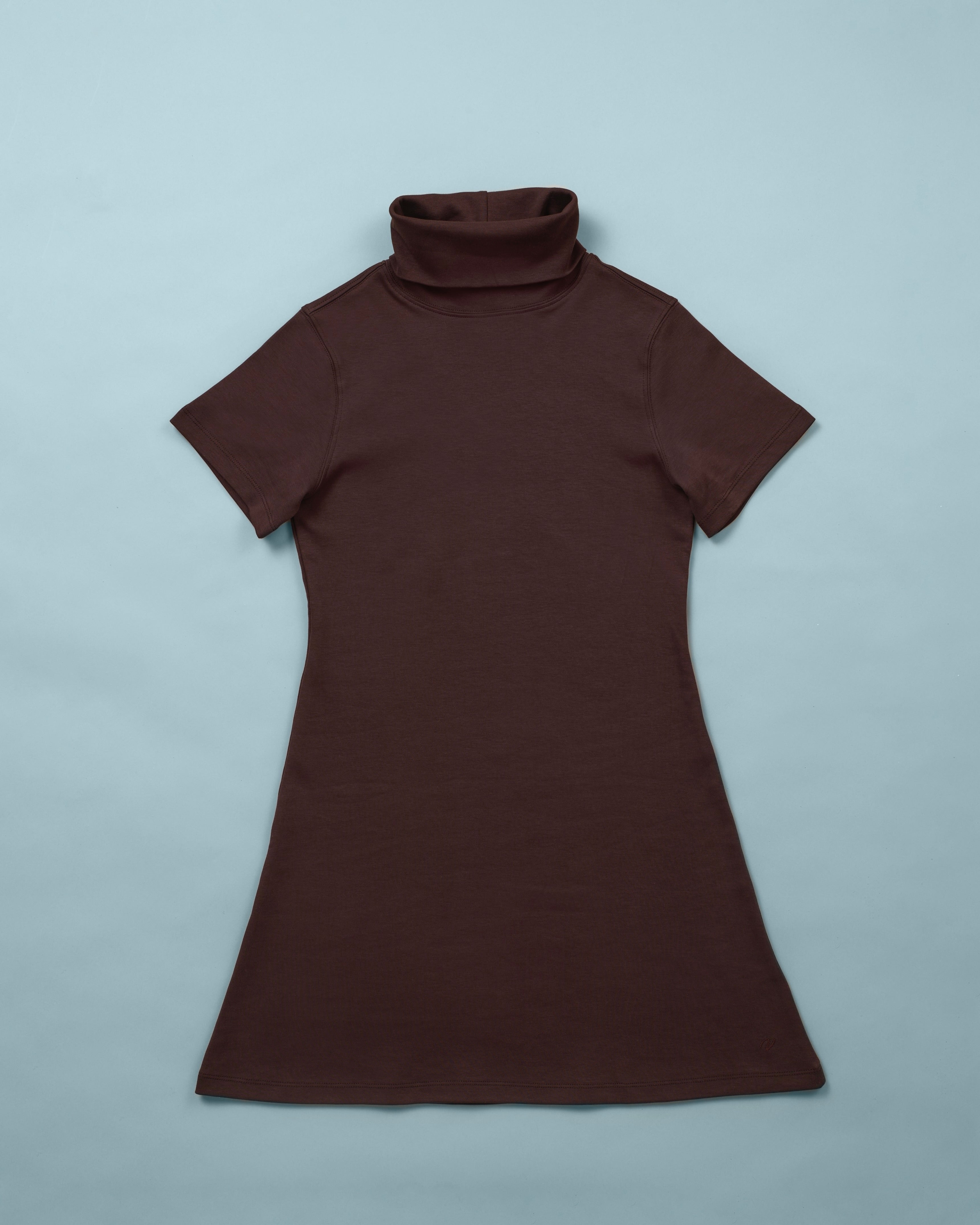 short sleeve turtleneck dress Donna's Short Sleeve Turtleneck Dress – Vicinavicina