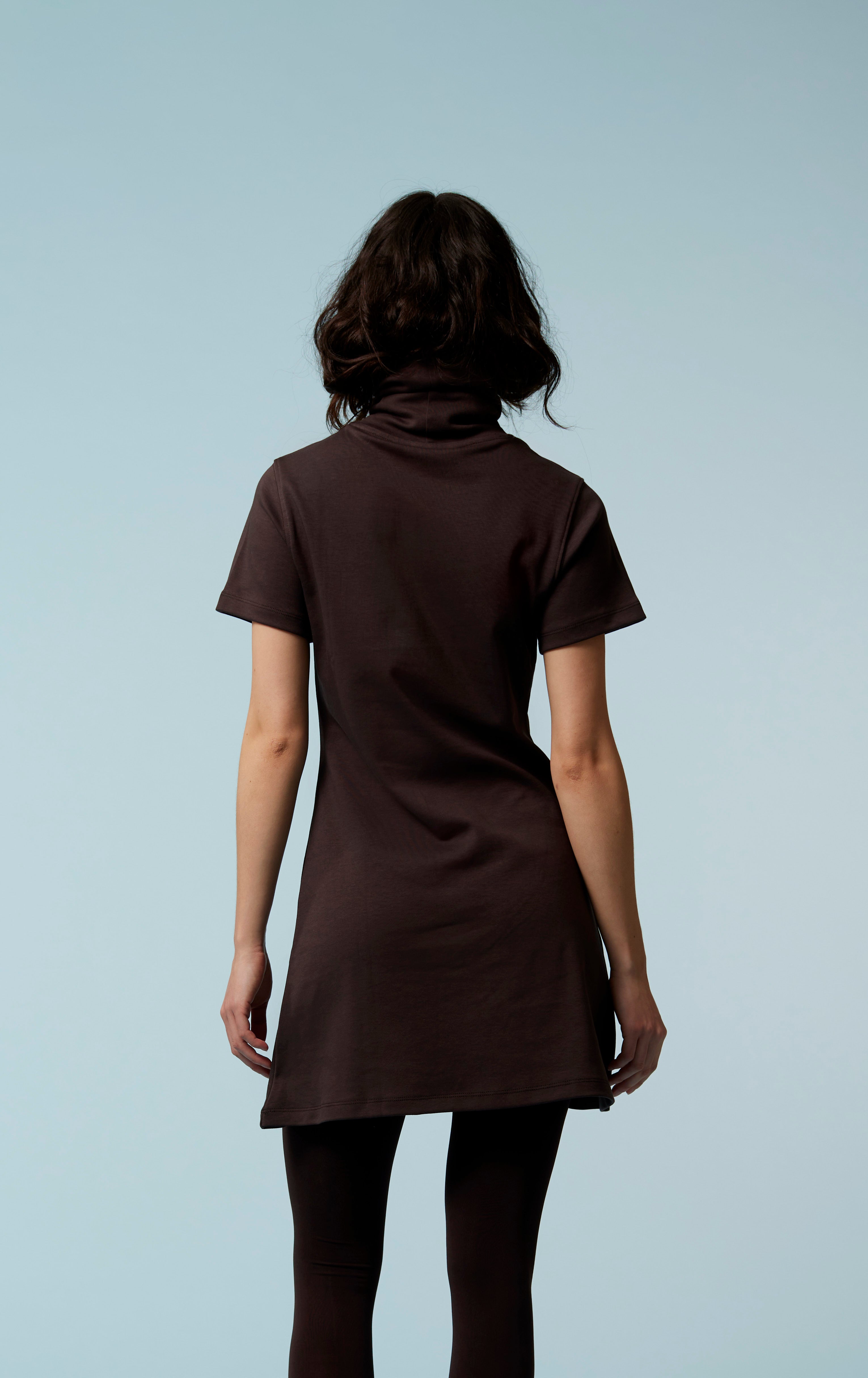 Donna's Short Sleeve Turtleneck Dress