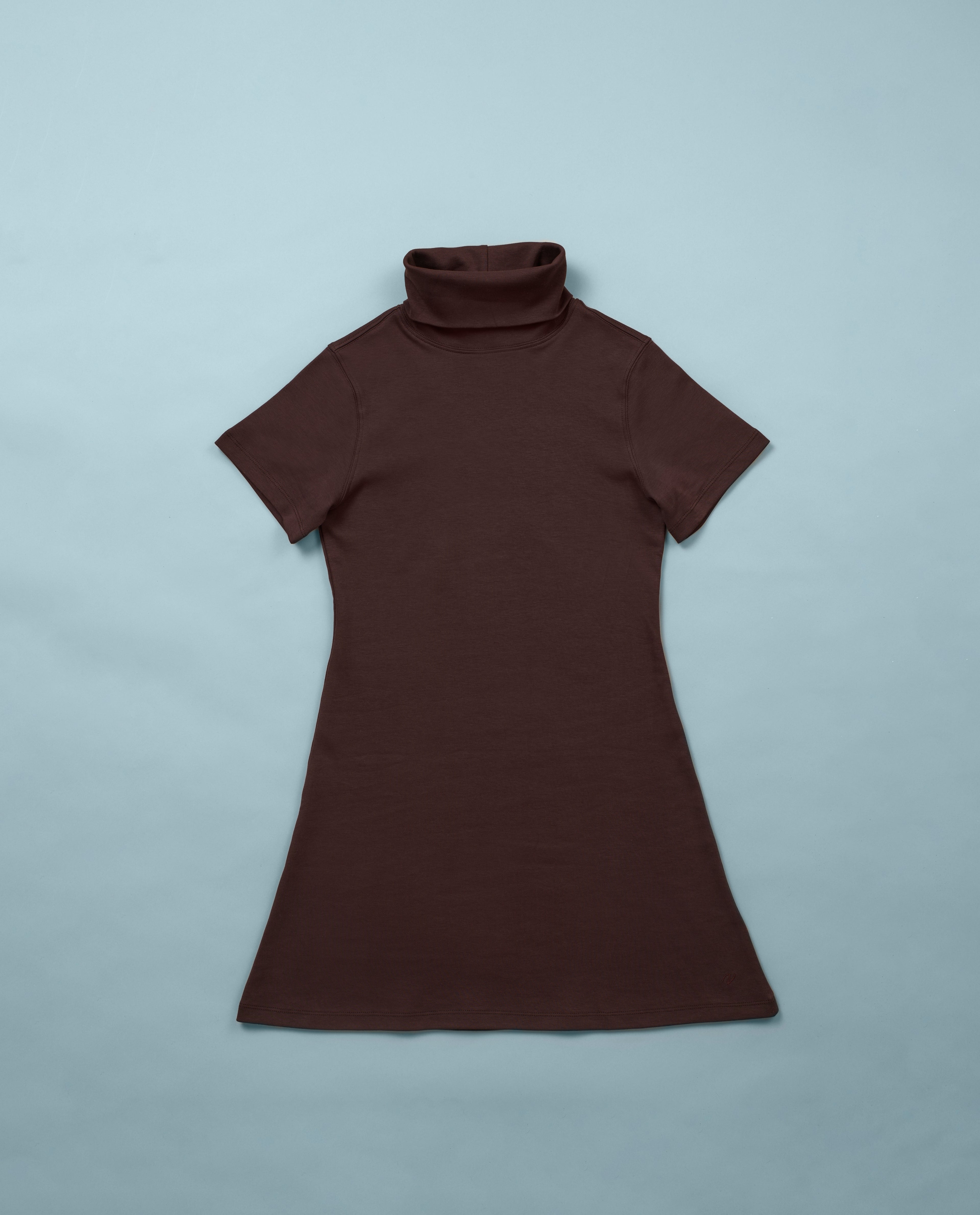 Donna's Short Sleeve Turtleneck Dress